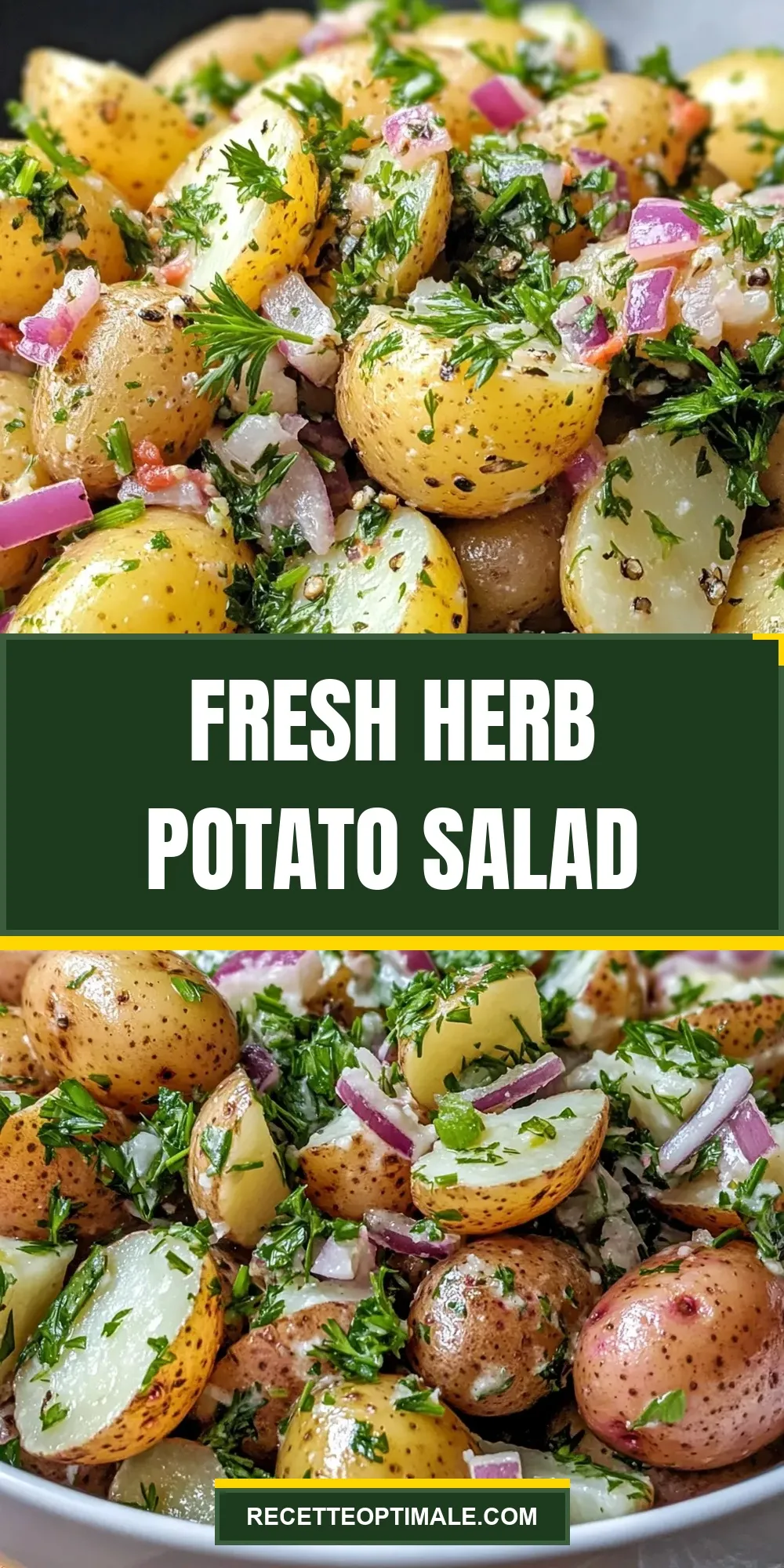 Fresh Herb Potato Salad Recipe