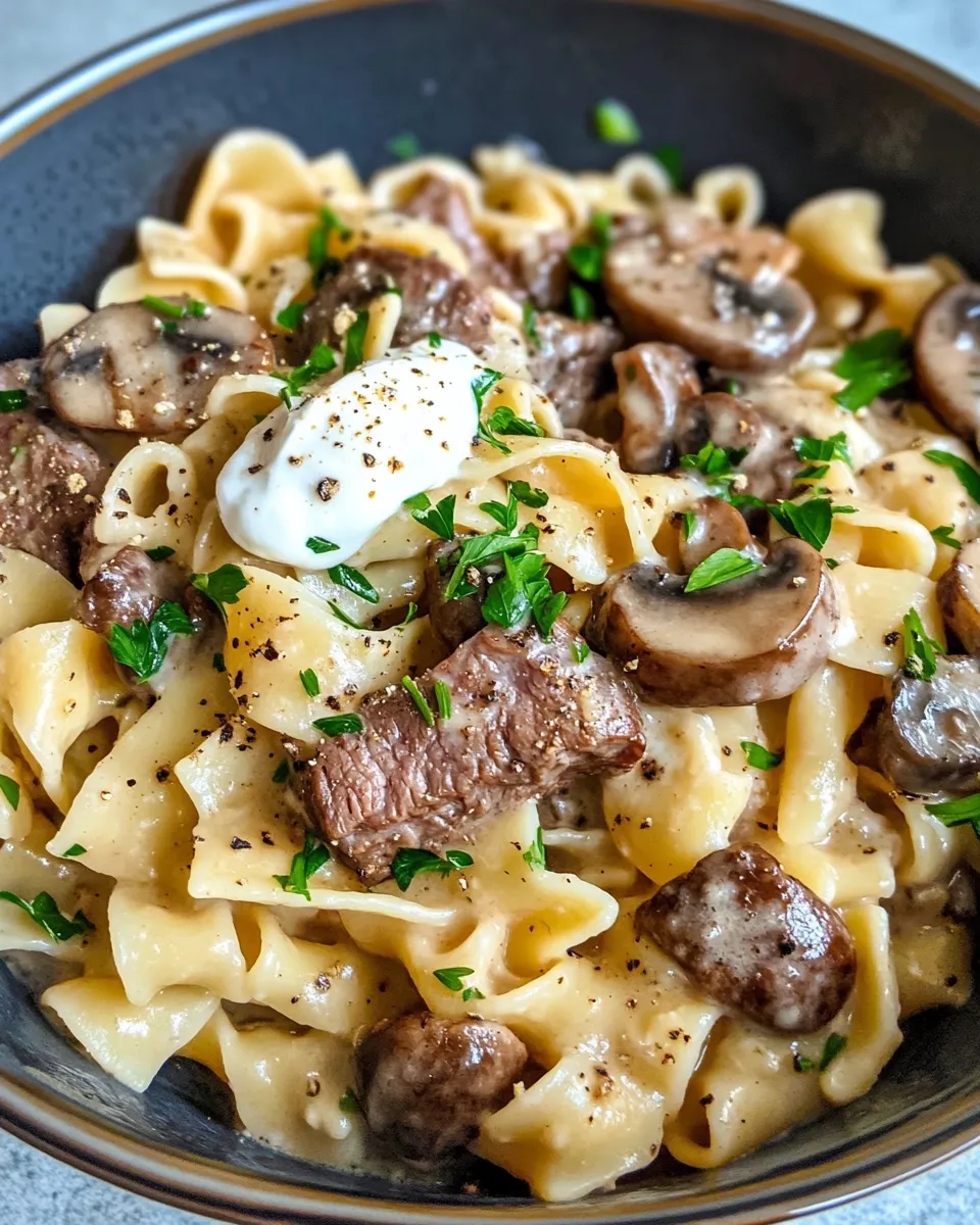 Classic One Pot Beef Stroganoff Noodles dish photo