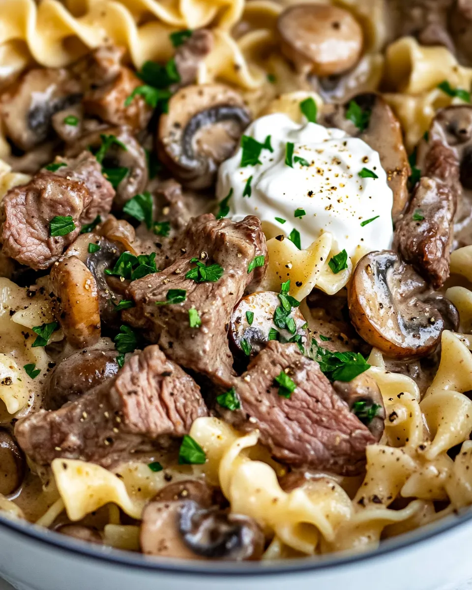 Easy One Pot Beef Stroganoff Noodles food shot