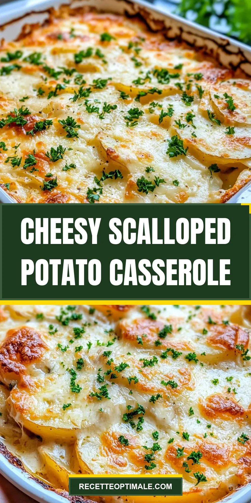 The Best Cheesy Scalloped Potato Casserole Ever