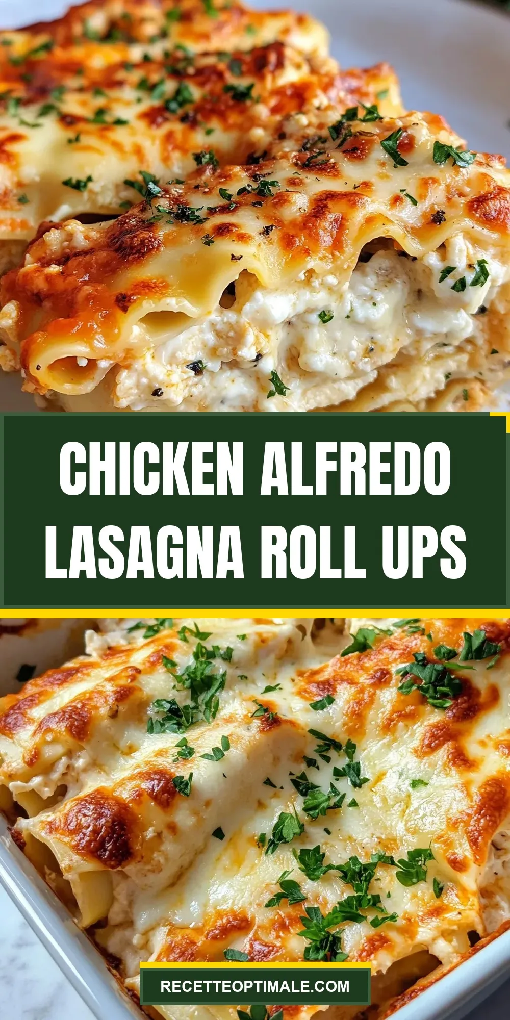 Easy Chicken Alfredo Lasagna Roll Ups Recipe