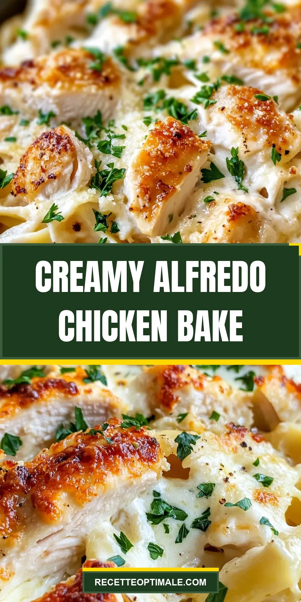 The Best Creamy Alfredo Chicken Bake Ever