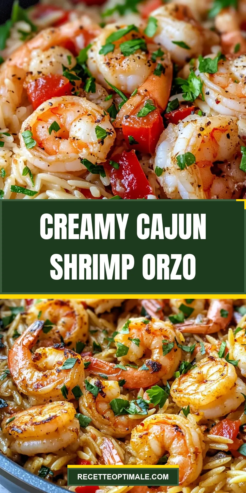 Creamy Cajun Shrimp Orzo Recipe