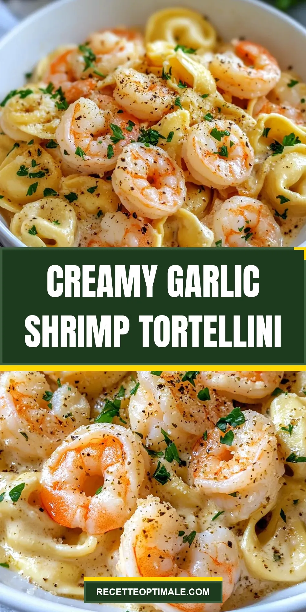 Delicious Creamy Garlic Shrimp Tortellini