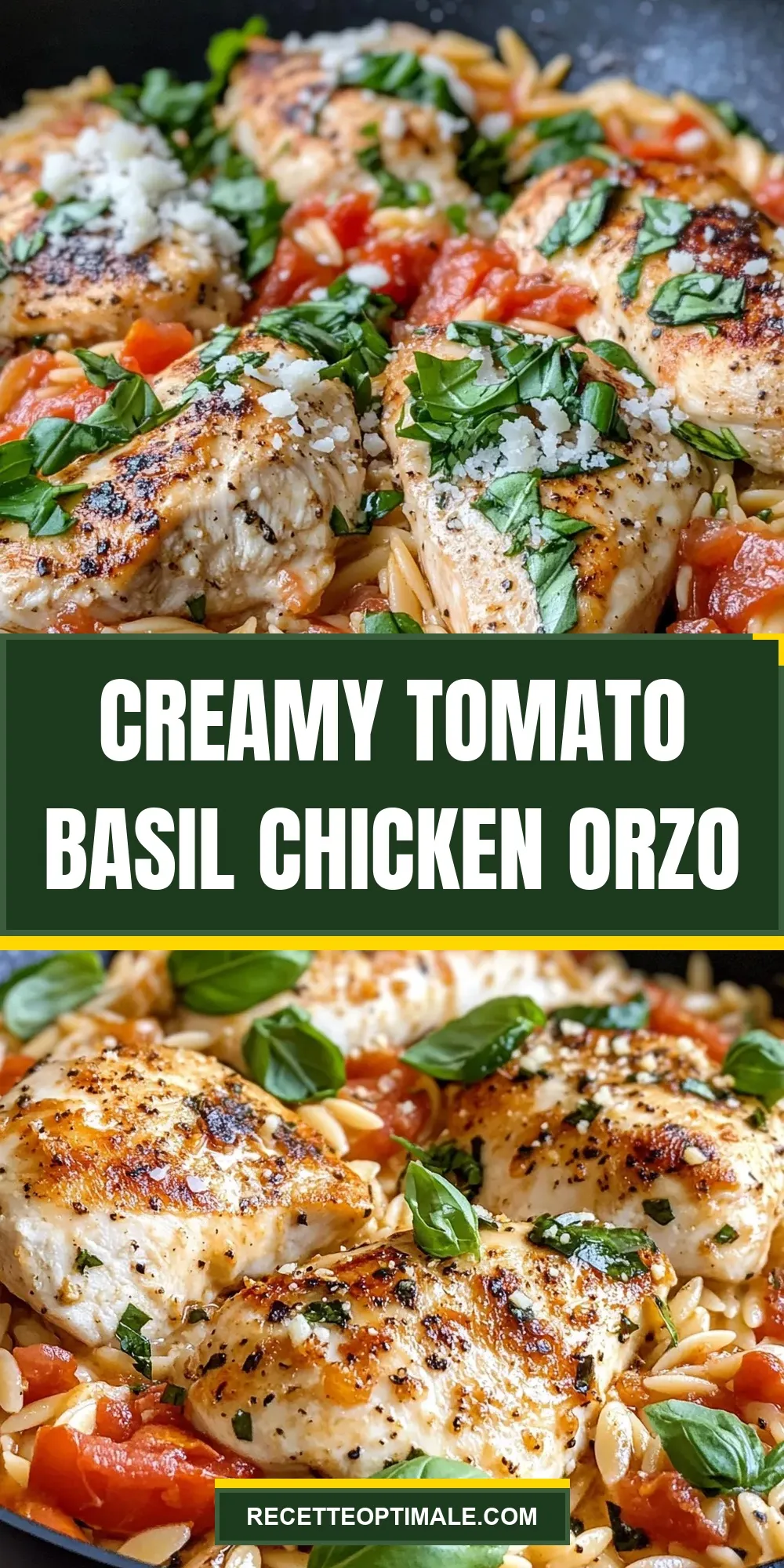 Creamy Tomato Basil Chicken Orzo Recipe