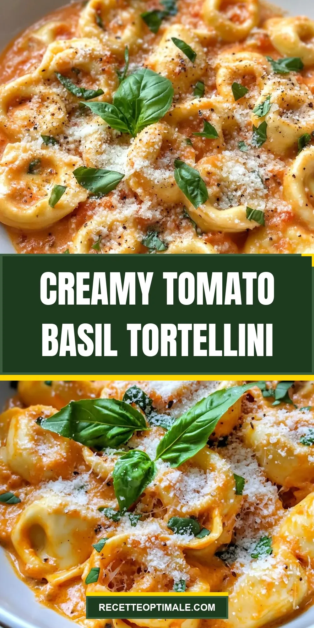 Easy Creamy Tomato Basil Tortellini Recipe