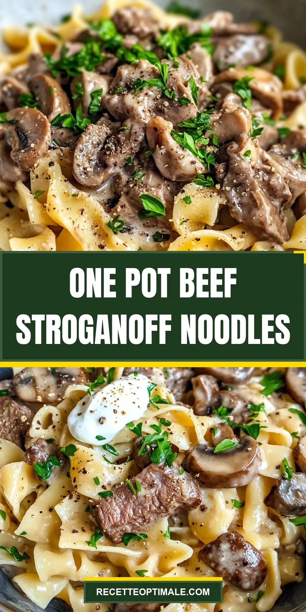 One Pot Beef Stroganoff Noodles (Savory & Delicious)