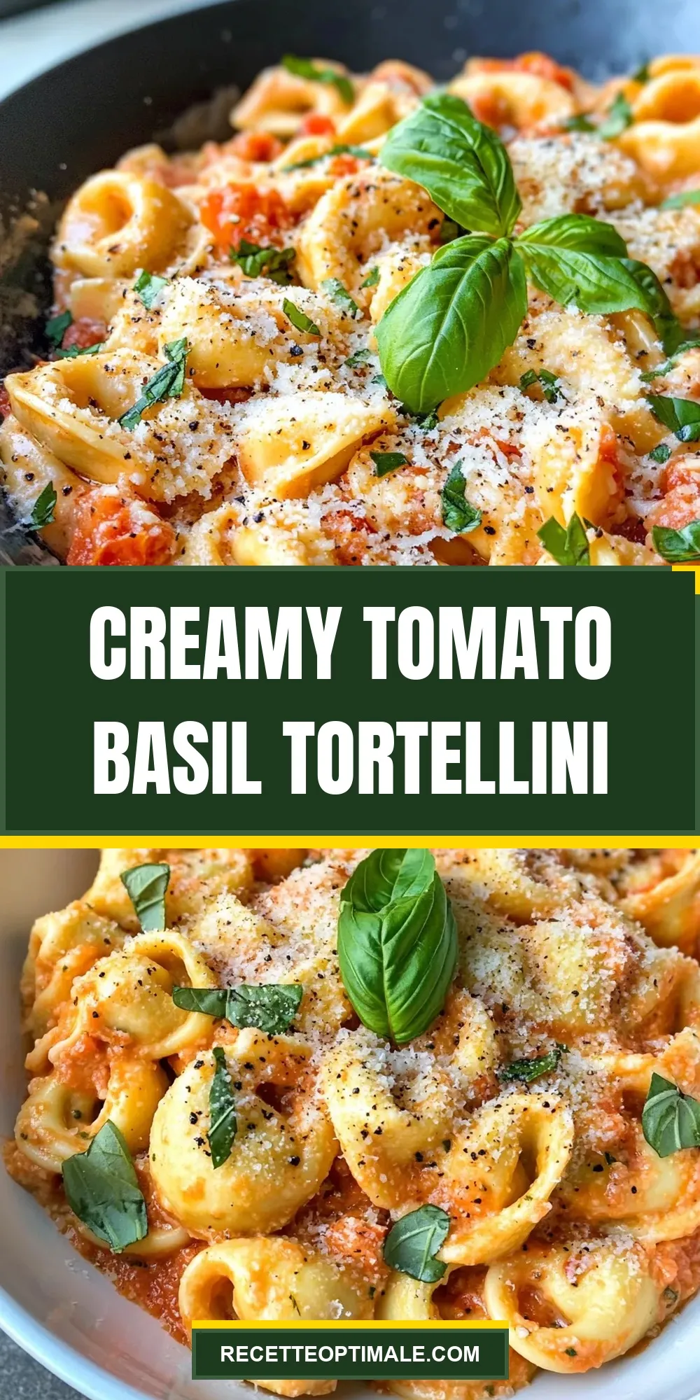The Best Creamy Tomato Basil Tortellini Ever