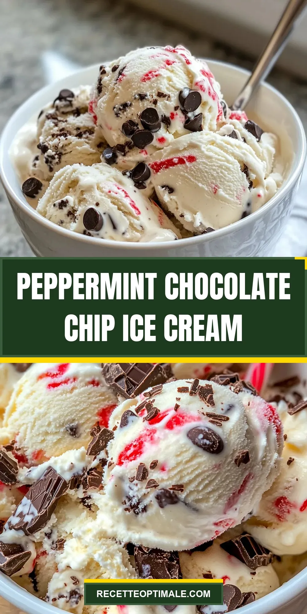 Peppermint Chocolate Chip Ice Cream (Delicious & Delicious)